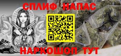 стаф Гатчина
