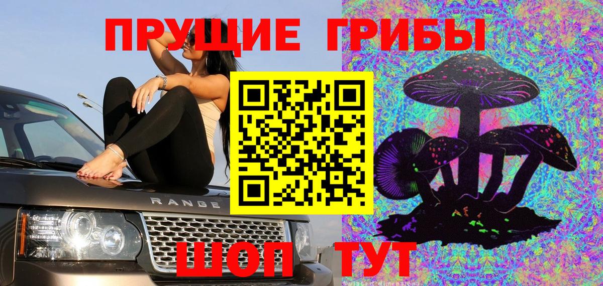 Ивантеевка  Галлюциногенные грибы ЛСД  Вход с VPN 